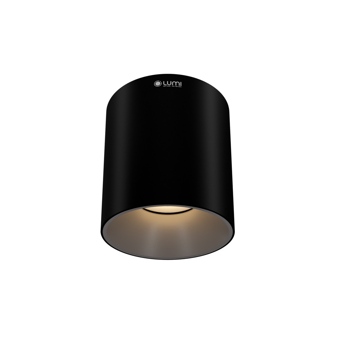 den-op-noi-10W-36-CR-BGr-2